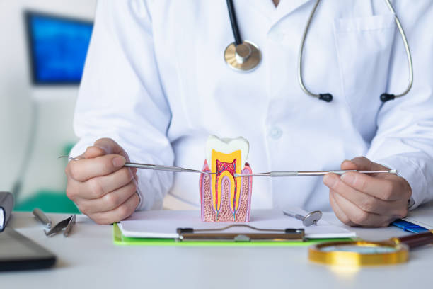 Best Tooth Pain Emergency Relief  in Lincolndale, NY